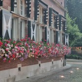 gemeentehuis bloemen.jpg