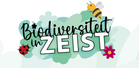 biodiversiteit. 2.png